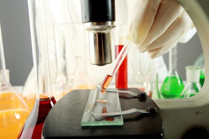 wpid-ways-to-pass-hair-drug-test.jpg